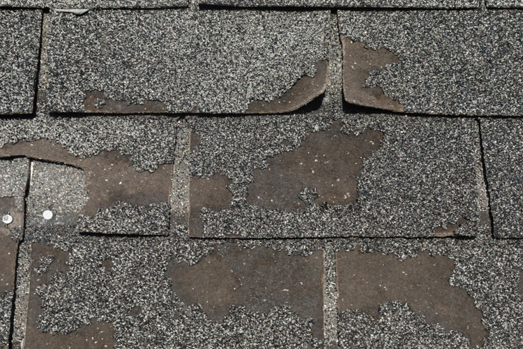 Rapid Roof Repair